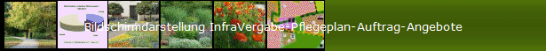 Bildschirmdarstellung InfraVergabe-Pflegeplan-Auftrag-Angebote