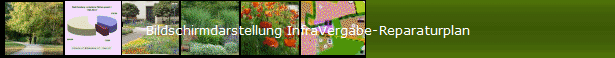 Bildschirmdarstellung InfraVergabe-Reparaturplan
