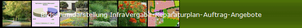 Bildschirmdarstellung InfraVergabe-Reparaturplan-Auftrag-Angebote